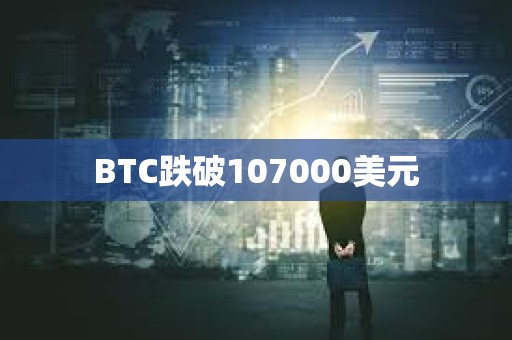 BTC跌破107000美元