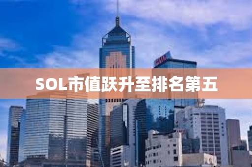 SOL市值跃升至排名第五