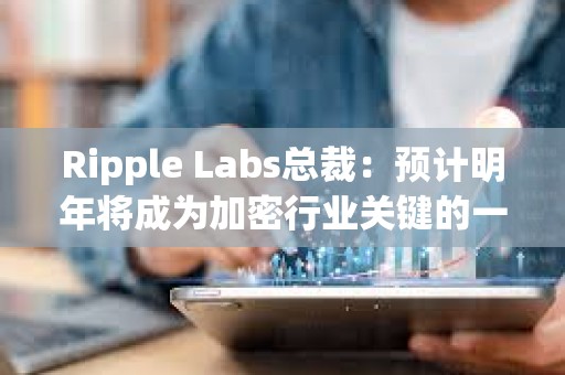 Ripple Labs总裁：预计明年将成为加密行业关键的一年