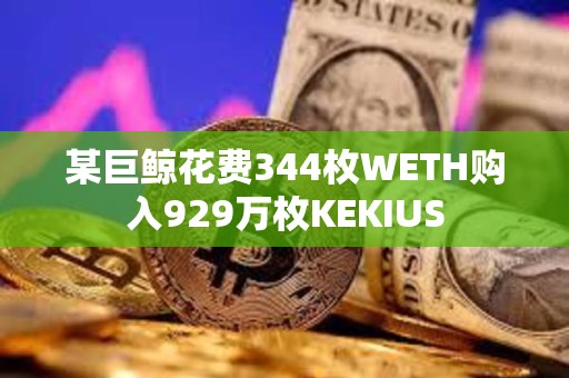 某巨鲸花费344枚WETH购入929万枚KEKIUS