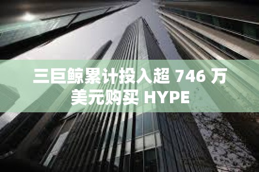 三巨鲸累计投入超 746 万美元购买 HYPE