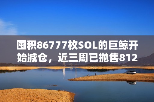囤积86777枚SOL的巨鲸开始减仓，近三周已抛售81227枚