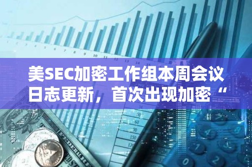 美SEC加密工作组本周会议日志更新，首次出现加密“批评者”参与
