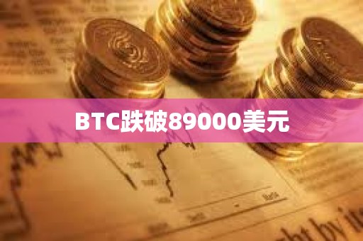 BTC跌破89000美元