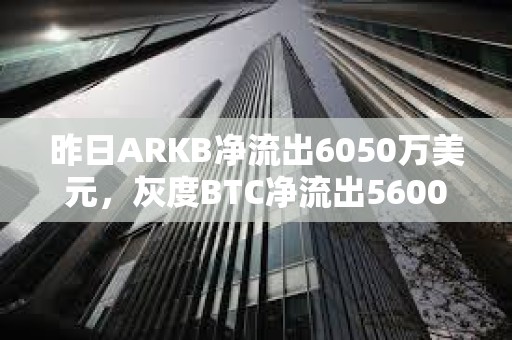 昨日ARKB净流出6050万美元，灰度BTC净流出5600万美元