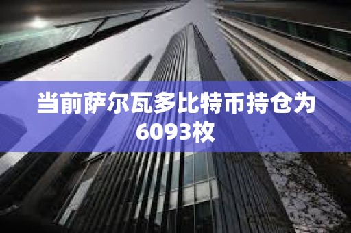 当前萨尔瓦多比特币持仓为6093枚