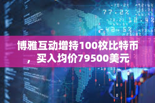 博雅互动增持100枚比特币，买入均价79500美元