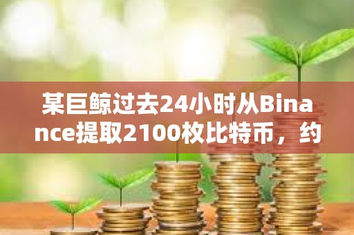 某巨鲸过去24小时从Binance提取2100枚比特币，约1.8017亿美元