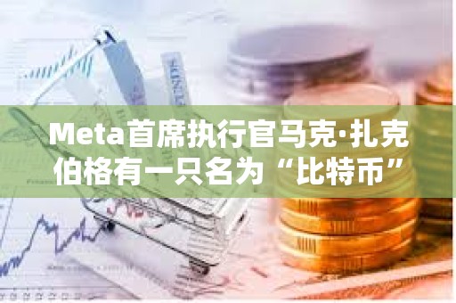 Meta首席执行官马克·扎克伯格有一只名为“比特币”的宠物山羊