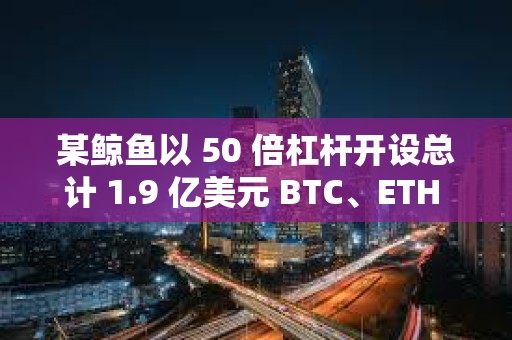 某鲸鱼以 50 倍杠杆开设总计 1.9 亿美元 BTC、ETH 多头头寸