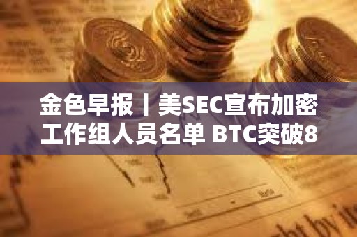 金色早报丨美SEC宣布加密工作组人员名单 BTC突破87000美元
