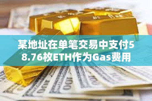 某地址在单笔交易中支付58.76枚ETH作为Gas费用