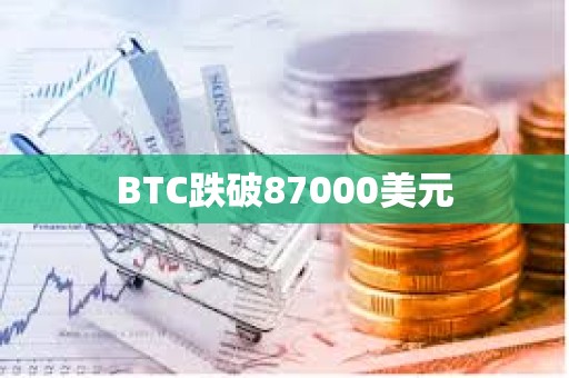 BTC跌破87000美元