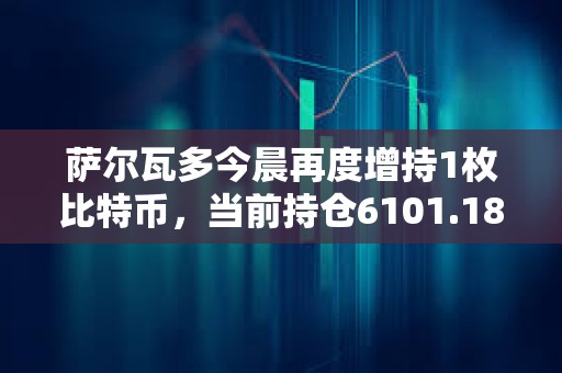 萨尔瓦多今晨再度增持1枚比特币，当前持仓6101.18枚