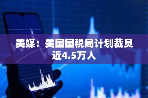 美媒：美国国税局计划裁员近4.5万人
