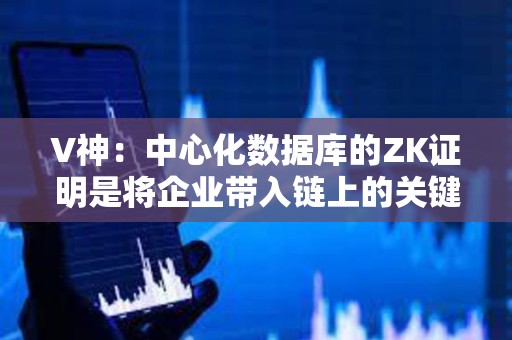 V神：中心化数据库的ZK证明是将企业带入链上的关键