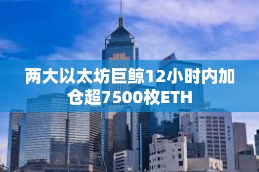两大以太坊巨鲸12小时内加仓超7500枚ETH