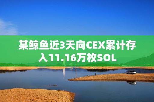 某鲸鱼近3天向CEX累计存入11.16万枚SOL