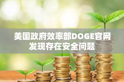美国政府效率部DOGE官网发现存在安全问题