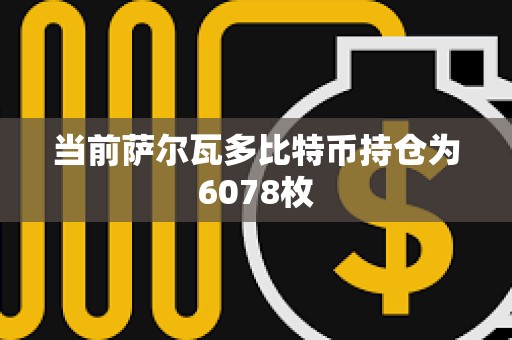 当前萨尔瓦多比特币持仓为6078枚