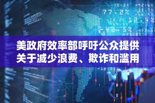 美政府效率部呼吁公众提供关于减少浪费、欺诈和滥用的想法