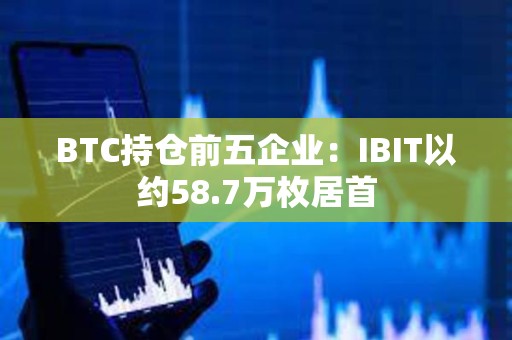 BTC持仓前五企业：IBIT以约58.7万枚居首