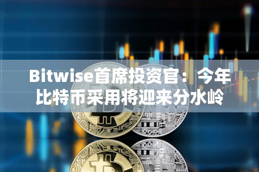 Bitwise首席投资官：今年比特币采用将迎来分水岭
