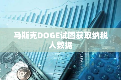 马斯克DOGE试图获取纳税人数据 马斯克DOGE试图获取纳税人数据