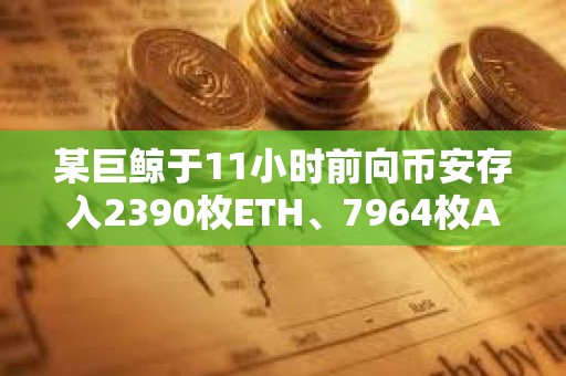 某巨鲸于11小时前向币安存入2390枚ETH、7964枚AAVE和2321枚COMP