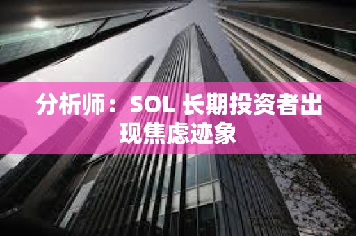 分析师：SOL 长期投资者出现焦虑迹象