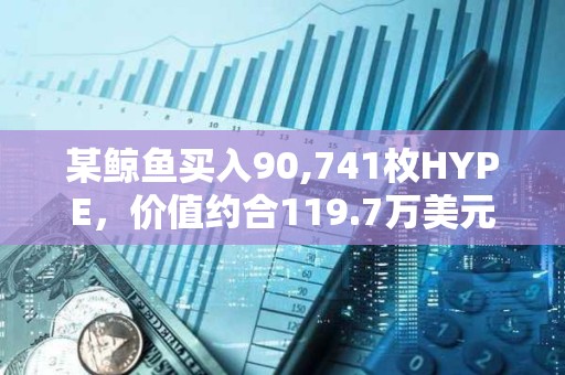 某鲸鱼买入90,741枚HYPE，价值约合119.7万美元