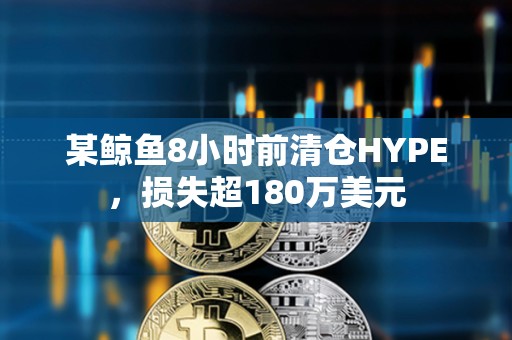 某鲸鱼8小时前清仓HYPE，损失超180万美元