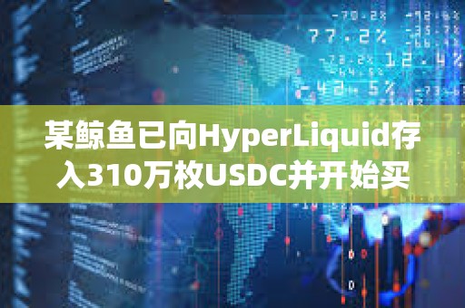 某鲸鱼已向HyperLiquid存入310万枚USDC并开始买入HYPE