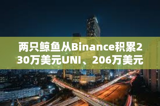两只鲸鱼从Binance积累230万美元UNI、206万美元MKR和1390万美元AUCTION