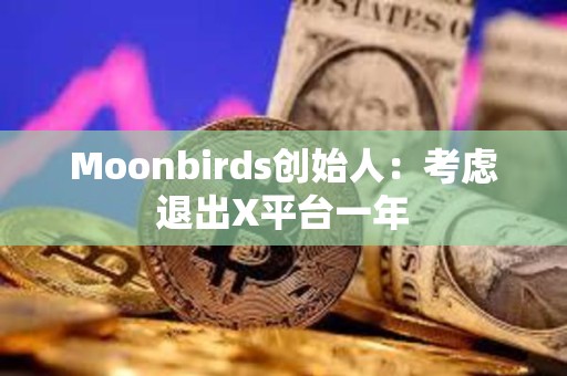 Moonbirds创始人：考虑退出X平台一年