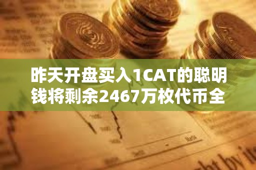 昨天开盘买入1CAT的聪明钱将剩余2467万枚代币全部质押