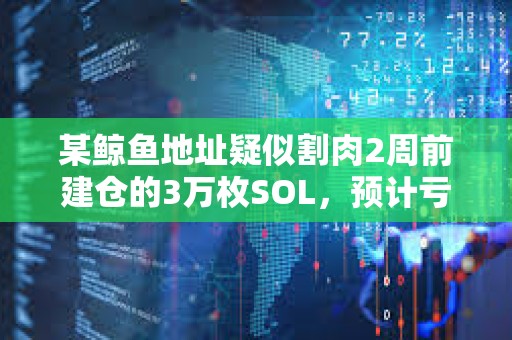 某鲸鱼地址疑似割肉2周前建仓的3万枚SOL，预计亏损45.6万美元