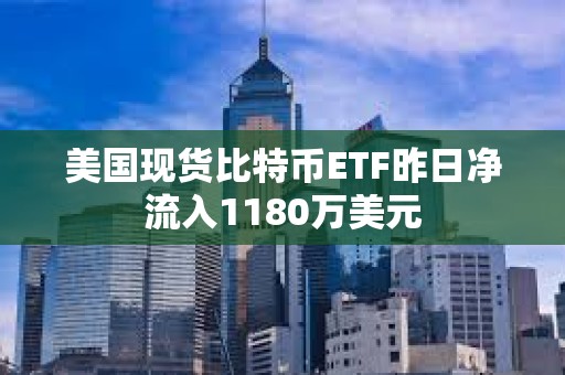 美国现货比特币ETF昨日净流入1180万美元