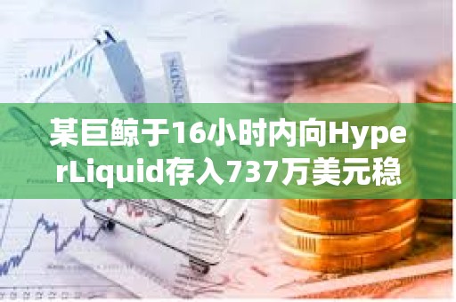 某巨鲸于16小时内向HyperLiquid存入737万美元稳定币并增持40万枚HYPE