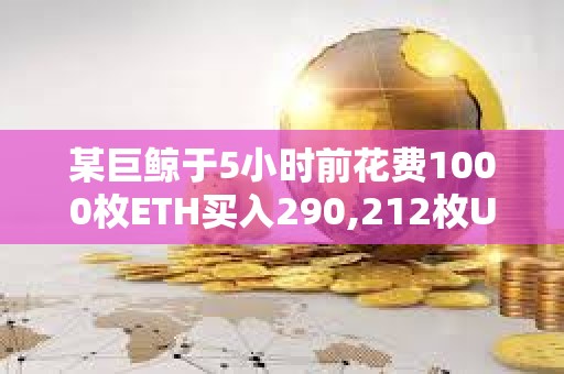 某巨鲸于5小时前花费1000枚ETH买入290,212枚UNI