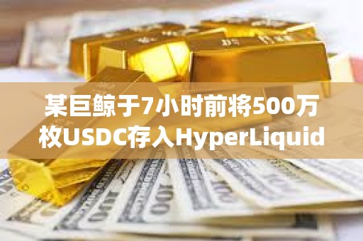 某巨鲸于7小时前将500万枚USDC存入HyperLiquid以增持HYPE