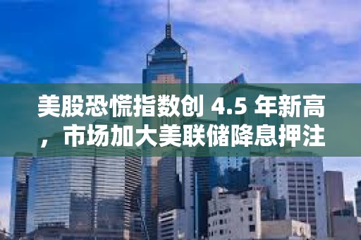美股恐慌指数创 4.5 年新高，市场加大美联储降息押注