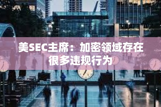 美SEC主席：加密领域存在很多违规行为