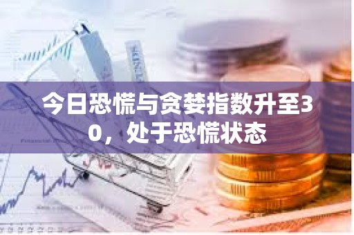今日恐慌与贪婪指数升至30，处于恐慌状态