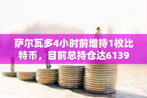萨尔瓦多4小时前增持1枚比特币，目前总持仓达6139.18枚
