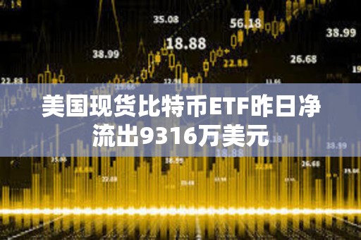 美国现货比特币ETF昨日净流出9316万美元