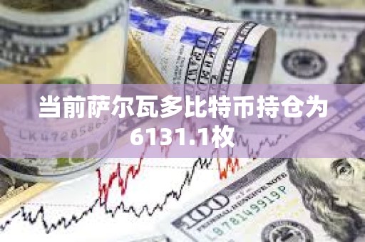 当前萨尔瓦多比特币持仓为6131.1枚