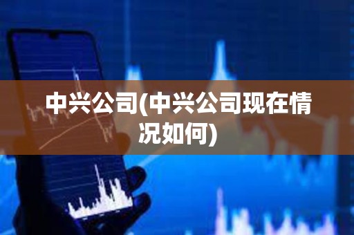 中兴公司(中兴公司现在情况如何) 中兴公司(中兴公司现在情况如何)