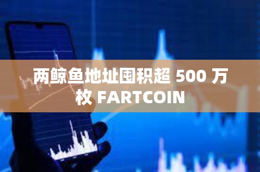 两鲸鱼地址囤积超 500 万枚 FARTCOIN