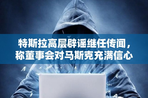 特斯拉高层辟谣继任传闻，称董事会对马斯克充满信心